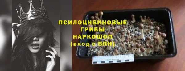 стаф Надым