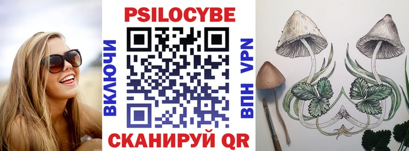 Галлюциногенные грибы прущие грибы  блэк спрут ССЫЛКА  Никольск 